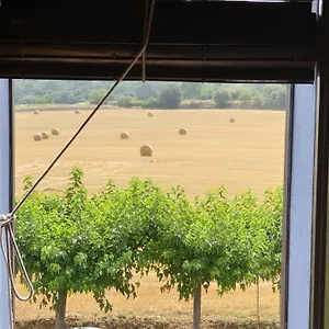 https://apartaments-ai-manyac.topcostabravahotels.com